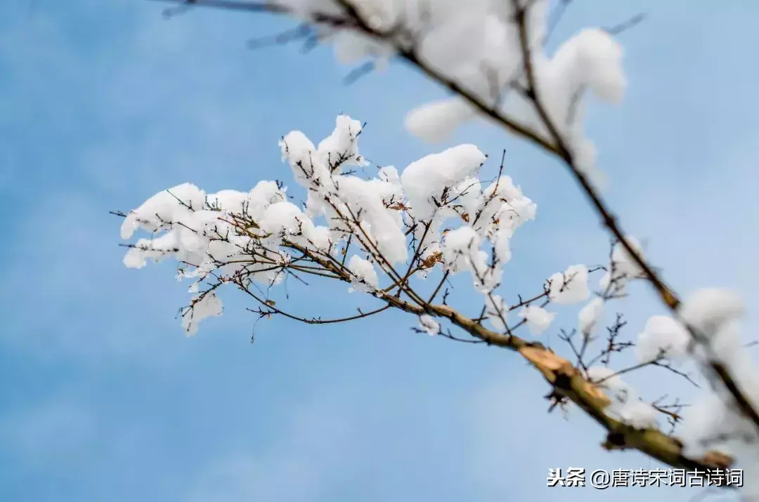 十首冬至诗词：探春漫道江梅早，盘里酥花也斗开