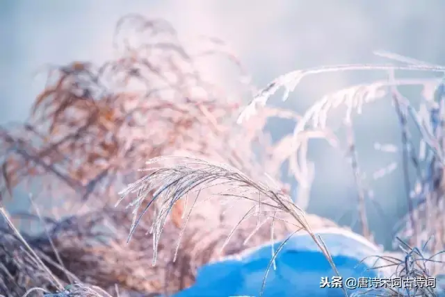 十首冬至诗词：探春漫道江梅早，盘里酥花也斗开