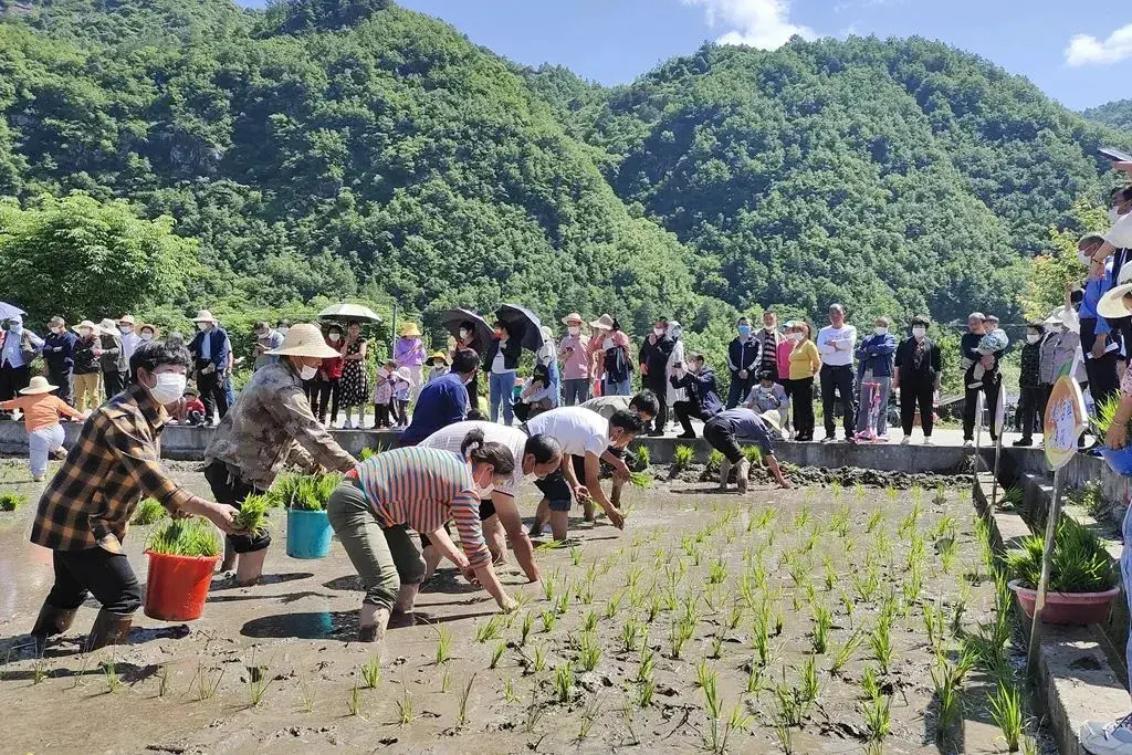 免票！半价！5·19中国旅游日来汉中这座小城，精彩不容错过~