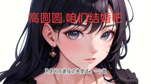 女演员.高圆圆.代表作品.咱们结婚吧……