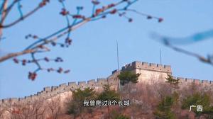 北京春花地图， 青山绿水古长城还有漫山遍野的山桃花  第1张