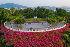 深圳最受欢迎的五大免费景点，莲花山跌出前三！外地游客也知道  第1张