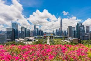 深圳最受欢迎的五大免费景点，莲花山跌出前三！外地游客也知道  第2张