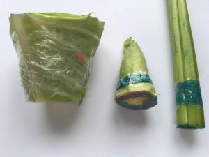 周末亲子时光，带孩子玩「蔬菜画」，材料简单作品惊艳  第4张