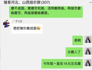 一个字看清2023年猪价！  第5张