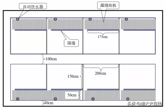 养猪人需要的好资料！高大上的猪舍布局设计图，看过决不后悔-图4