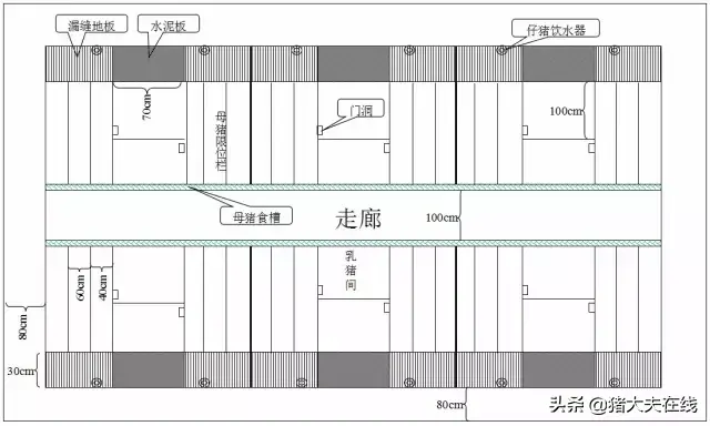 养猪人需要的好资料！高大上的猪舍布局设计图，看过决不后悔-图6