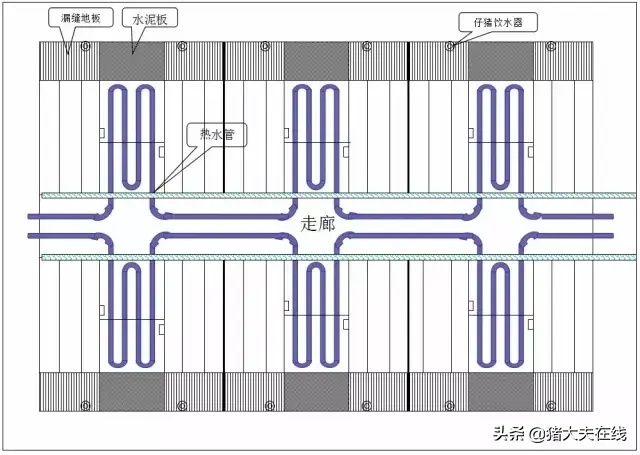 养猪人需要的好资料！高大上的猪舍布局设计图，看过决不后悔-图8