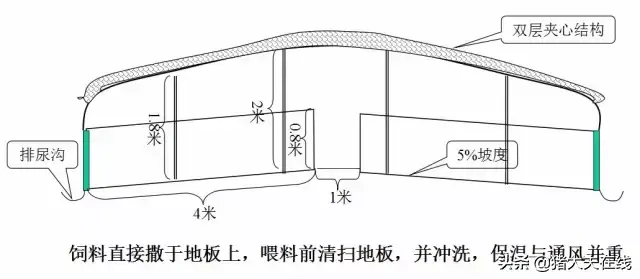 养猪人需要的好资料！高大上的猪舍布局设计图，看过决不后悔-图12