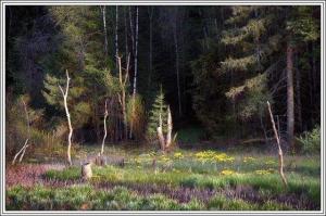 100张顶级世界风景  第53张