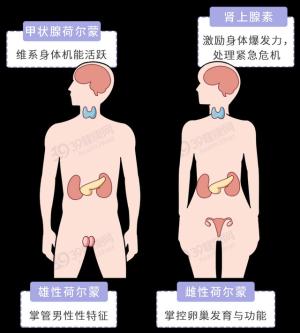 一闻就让人意乱情迷的“催情水”，真的存在吗？靠谱答案来了  第6张