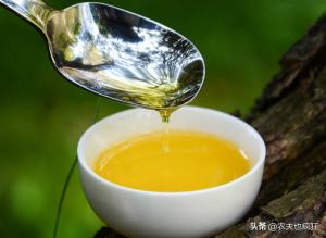 农村山茶油一斤能卖100多元，为何这么贵？山茶油有哪些好处？