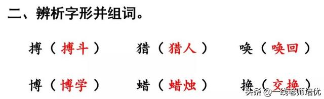 知识点+练习题部编版四年级语文上册 16 麻雀-图21