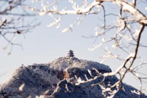 “游济源王屋山，免高速费”霸屏河南地市热搜榜！还有更美的风景在这里等你  第5张