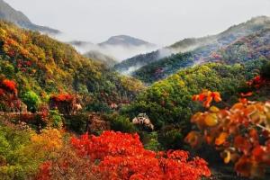 央媒省媒频频点赞！济源王屋山美景国庆假期惊艳全国，一步一景皆成诗