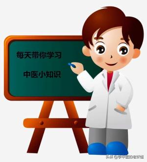 每天学习一味中药-侧柏叶  第9张