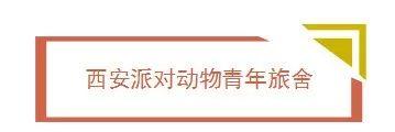 西安高逼格青旅！背包客不容错过  第14张