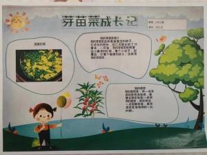 萌芽·生长·吐绿，一起见证芽苗绿盈盈！  第35张